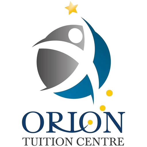 Professional dashboard and website preview